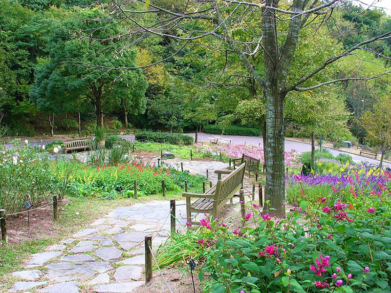 療愈花園（healing garden）景觀設(shè)計(jì)