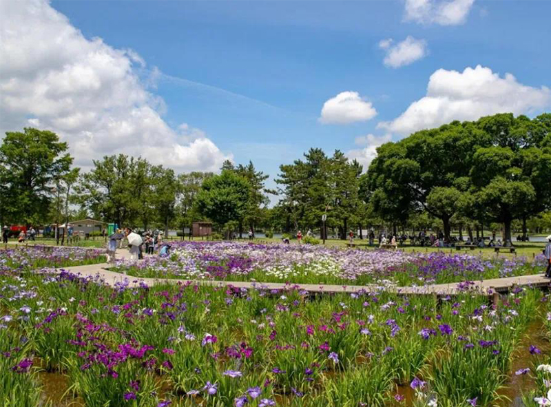 療愈花園（healing garden）景觀設(shè)計(jì)