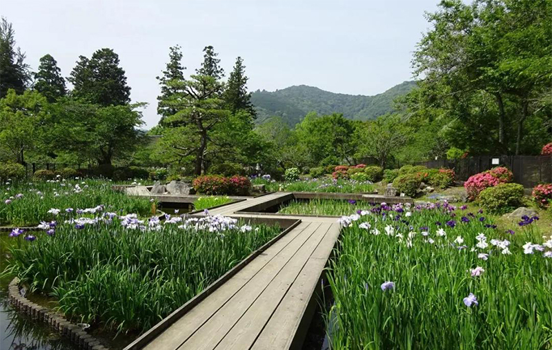 療愈花園（healing garden）景觀設(shè)計(jì)